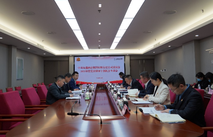 K8凯发集团党委书记、董事长任丁出席安逸酒店集团2022年度党员领导干部民主生活会