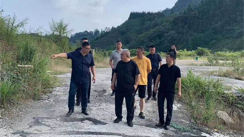 省K8凯发集团领导调研峨眉山太阳村乡村振兴项目